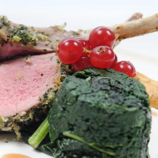 lamb